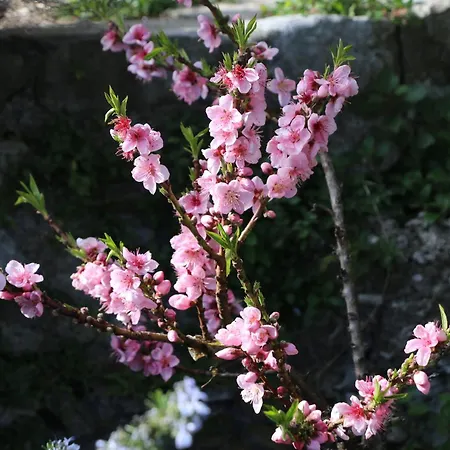 Hébergement de vacances Casa Melina 2